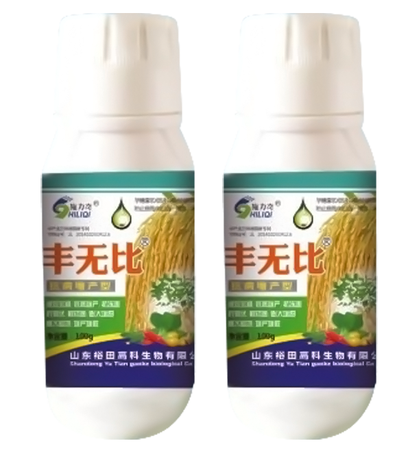 豐無(wú)比